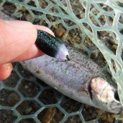 浜名湖フィッシングリゾート 釣果