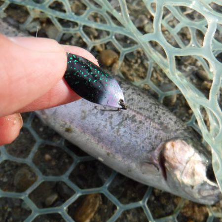 浜名湖フィッシングリゾート 釣果