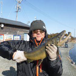 浜名湖フィッシングリゾート 釣果