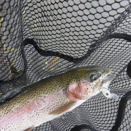 浜名湖フィッシングリゾート 釣果
