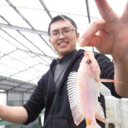 浜名湖フィッシングリゾート 釣果