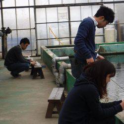 浜名湖フィッシングリゾート 釣果