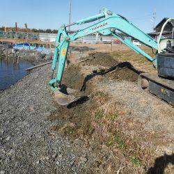浜名湖フィッシングリゾート 釣果