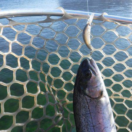 浜名湖フィッシングリゾート 釣果