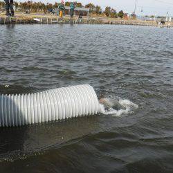 浜名湖フィッシングリゾート 釣果