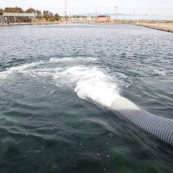 浜名湖フィッシングリゾート 釣果