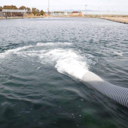 浜名湖フィッシングリゾート 釣果