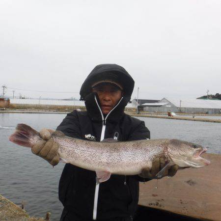 浜名湖フィッシングリゾート 釣果