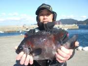 春日丸 釣果