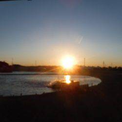 浜名湖フィッシングリゾート 釣果