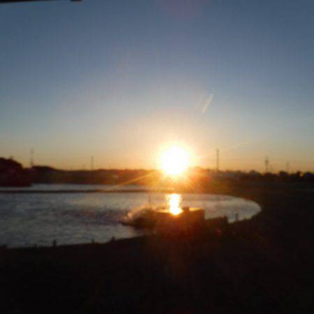 浜名湖フィッシングリゾート 釣果