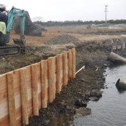 浜名湖フィッシングリゾート 釣果