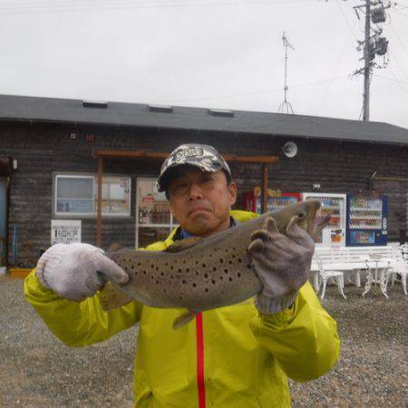 浜名湖フィッシングリゾート 釣果