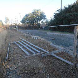 浜名湖フィッシングリゾート 釣果