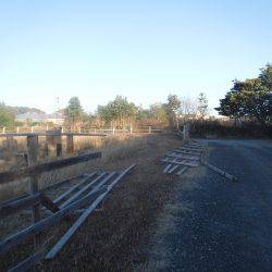 浜名湖フィッシングリゾート 釣果