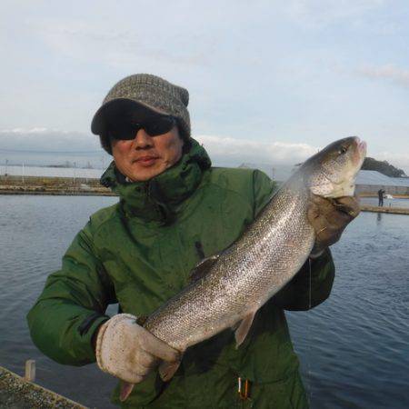 浜名湖フィッシングリゾート 釣果