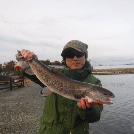 浜名湖フィッシングリゾート 釣果