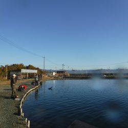 浜名湖フィッシングリゾート 釣果