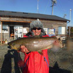 浜名湖フィッシングリゾート 釣果