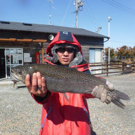 浜名湖フィッシングリゾート 釣果