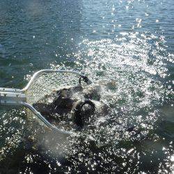 浜名湖フィッシングリゾート 釣果