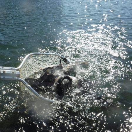 浜名湖フィッシングリゾート 釣果