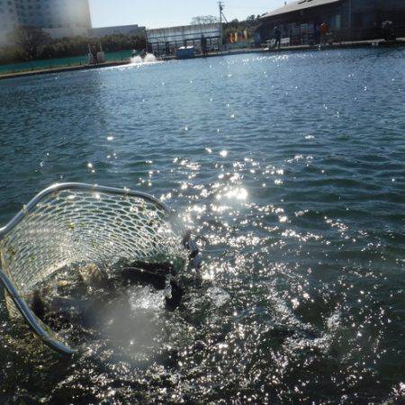浜名湖フィッシングリゾート 釣果