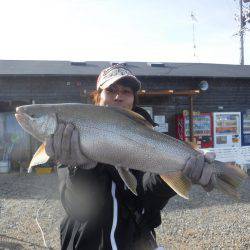 浜名湖フィッシングリゾート 釣果