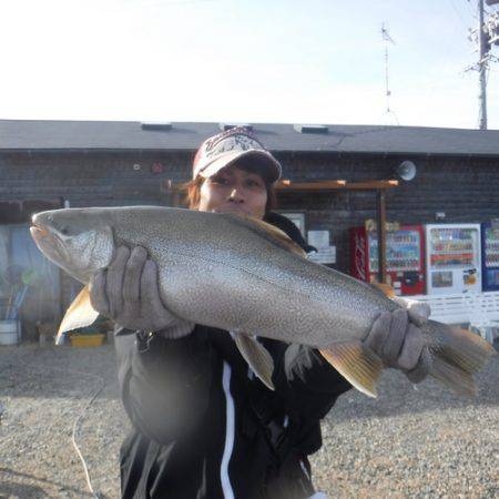 浜名湖フィッシングリゾート 釣果