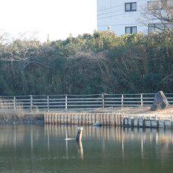 浜名湖フィッシングリゾート 釣果