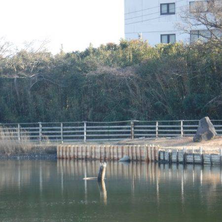 浜名湖フィッシングリゾート 釣果