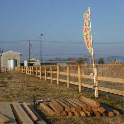 浜名湖フィッシングリゾート 釣果