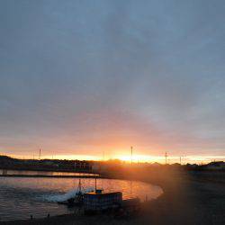 浜名湖フィッシングリゾート 釣果