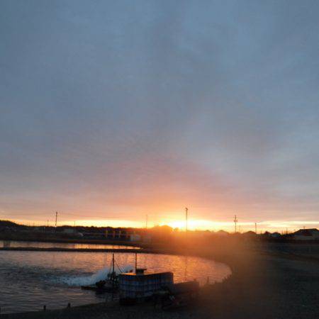 浜名湖フィッシングリゾート 釣果