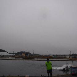 浜名湖フィッシングリゾート 釣果