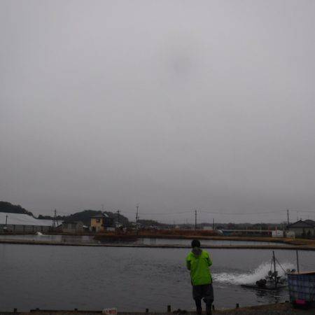 浜名湖フィッシングリゾート 釣果