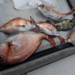 Fisherman Dreams DI 釣果