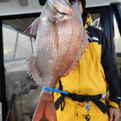 Fisherman Dreams DI 釣果