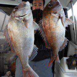 Fisherman Dreams DI 釣果