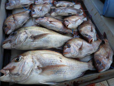 Fisherman Dreams DI 釣果