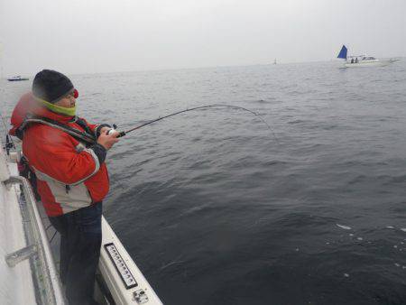 Fisherman Dreams DI 釣果