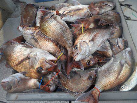 Fisherman Dreams DI 釣果