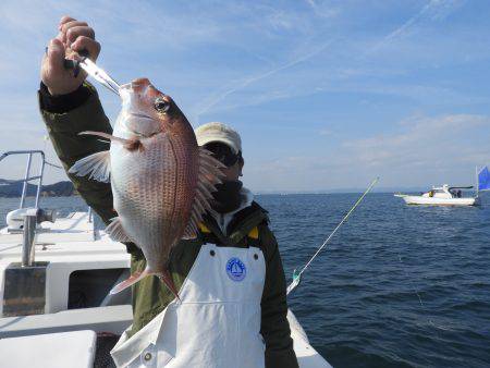 Fisherman Dreams DI 釣果