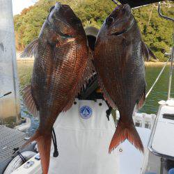 Fisherman Dreams DI 釣果