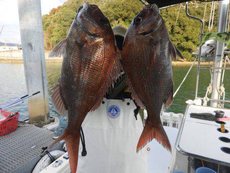 Fisherman Dreams DI 釣…