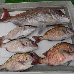 フィッシングボート空風(そらかぜ) 釣果