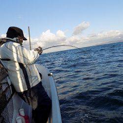 フィッシングボート空風（そらかぜ） 釣果