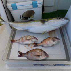 フィッシングボート空風（そらかぜ） 釣果