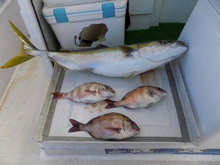 フィッシングボート空風（そらかぜ） 釣果