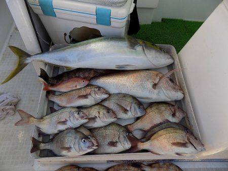 フィッシングボート空風(そらかぜ) 釣果